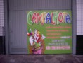 Placas de PVC/PS